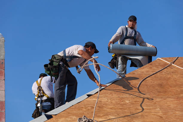 Best Best Roofing Contractors  in Byrdstown, TN