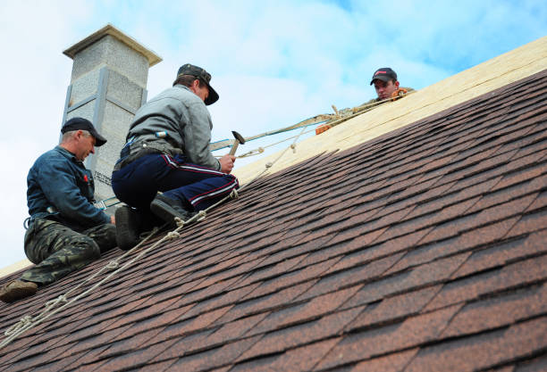 Best Best Roofing Contractors  in Byrdstown, TN